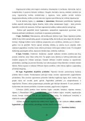 Organizacinė kultūra  (referatas) 18 puslapis