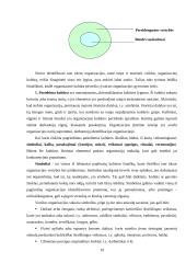 Organizacinė kultūra  (referatas) 19 puslapis