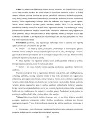 Organizacinė kultūra  (referatas) 20 puslapis