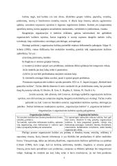 Organizacinė kultūra  (referatas) 3 puslapis