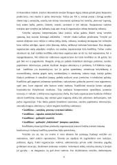 Organizacinė kultūra  (referatas) 6 puslapis