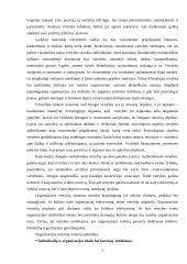 Organizacinė kultūra  (referatas) 7 puslapis