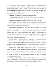 Organizacinė kultūra  (referatas) 10 puslapis