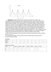 Ultragarso greičio matavimas skysčiuose 4 puslapis