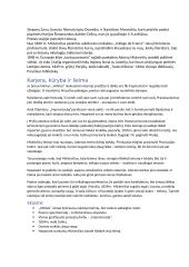 A. Mickevičius 2 puslapis