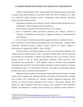 Demokratijos plėtra Europoje, pagrįsta valstybių sutartimis 11 puslapis