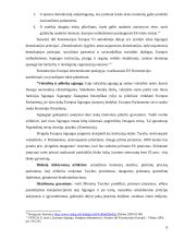 Demokratijos plėtra Europoje, pagrįsta valstybių sutartimis 6 puslapis