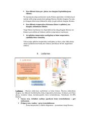 Termoreguliacija 3 puslapis