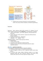 Termoreguliacija 7 puslapis