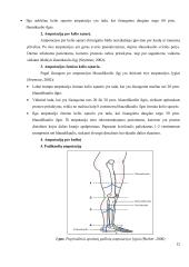 Kineziterapijos ir grįžtamojo ryšio poveikis fantominiams skausmams ir šlaunies raumenų jėgai po šlaunies amputacijos  11 puslapis