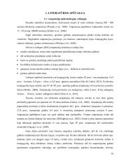 Kineziterapijos ir grįžtamojo ryšio poveikis fantominiams skausmams ir šlaunies raumenų jėgai po šlaunies amputacijos  9 puslapis