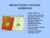 Napoleono epocha (skaidrės) 6 puslapis