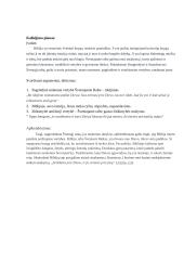 Kokias vertybes teigia Šventasis raštas? (kalba su planu) 2 puslapis