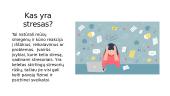 Stresas. Skaidrės 2 puslapis