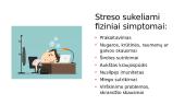 Stresas. Skaidrės 4 puslapis