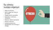 Stresas. Skaidrės 6 puslapis