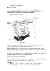 Variklio tepimo sistema 2 puslapis