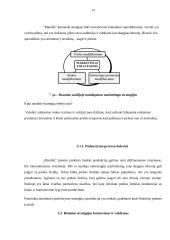 Prekės ženklo „Manilla“ rinkodaros priemonių tobulinimo planas 12 puslapis