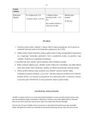 Prekės ženklo „Manilla“ rinkodaros priemonių tobulinimo planas 18 puslapis