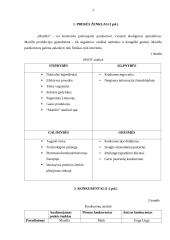 Prekės ženklo „Manilla“ rinkodaros priemonių tobulinimo planas 3 puslapis