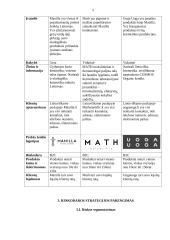 Prekės ženklo „Manilla“ rinkodaros priemonių tobulinimo planas 4 puslapis