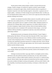 Prekės ženklo „Manilla“ rinkodaros priemonių tobulinimo planas 6 puslapis