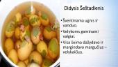 Šventų Velykų tradicijos ir papročiai 13 puslapis