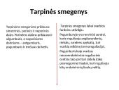 Nugaros smegenys (skaidrės) 9 puslapis