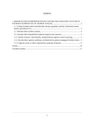 Ikimokyklinio ir priešmokyklinio ugdymo organizavimo ypatumai ir patirtis Suomijos šalyje (referatas) 2 puslapis