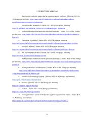 Ikimokyklinio ir priešmokyklinio ugdymo organizavimo ypatumai ir patirtis Suomijos šalyje (referatas) 11 puslapis