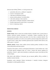 Didaktiniai žaidimai