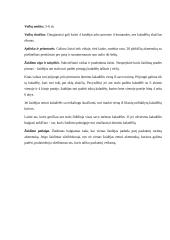 Didaktiniai žaidimai 2 puslapis