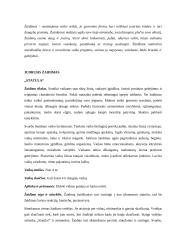 Praktinis darbas: judriojo žaidimo planas  2 puslapis