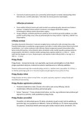 Infliacija. Konspektas 2 puslapis