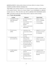 Įmonių veiklos tobulinimas naudojant lean 5s metodą  12 puslapis