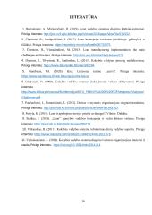 Įmonių veiklos tobulinimas naudojant lean 5s metodą  15 puslapis