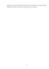 Įmonių veiklos tobulinimas naudojant lean 5s metodą  3 puslapis