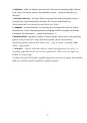 Įmonių veiklos tobulinimas naudojant lean 5s metodą  8 puslapis