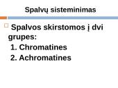 Spalvų sisteminimas 2 puslapis