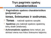 Spalvų sisteminimas 13 puslapis