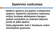 Spalvų sisteminimas 15 puslapis