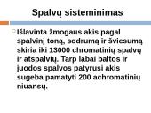 Spalvų sisteminimas 5 puslapis