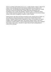 Odisėjo paveikslas Homero epinėje poemoje. Kalba ir planas 3 puslapis