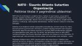 NATO - Šiaurės Atlanto Sutarties Organizacija 2 puslapis
