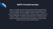 NATO - Šiaurės Atlanto Sutarties Organizacija 5 puslapis