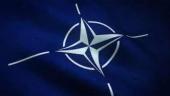 NATO - Šiaurės Atlanto Sutarties Organizacija 7 puslapis