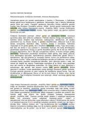 Gamtos reikšmės literatūroje