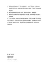 Kaimo vaizdavimas Jono Biliūno kūryboje 2 puslapis