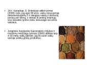 Sveika vaikų mityba 3 puslapis