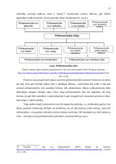 Prastovos dėl Covid-19 pagrindinės problemos 12 puslapis